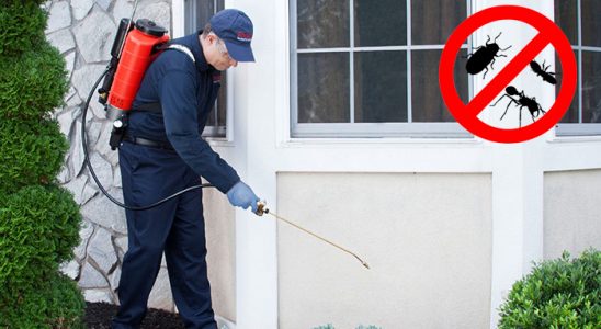 Seben Karınca İlaçlama böcek ilaçlama ve haşere kontrolü — ilaclama-tr.com